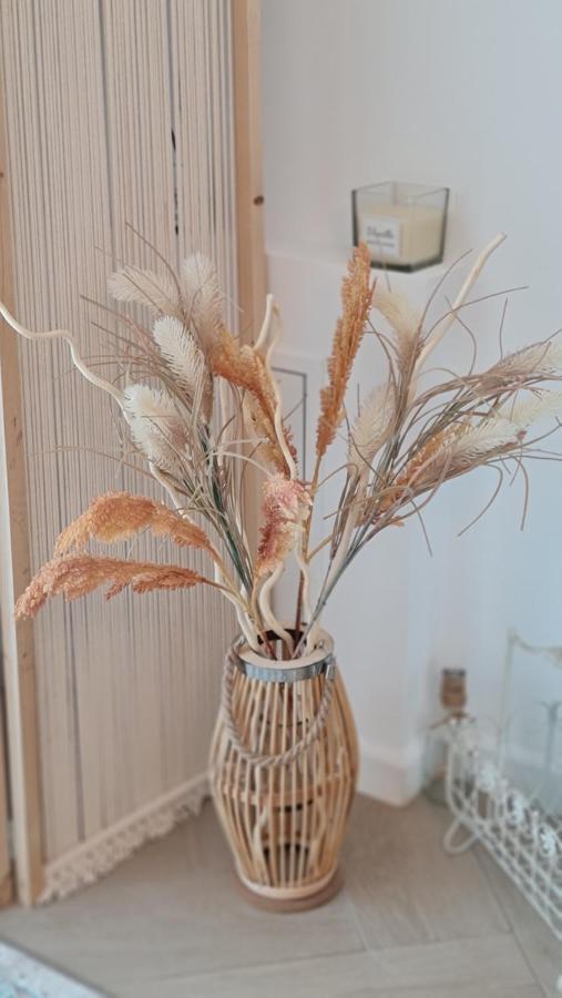 Vanilla Residence Mamaia Nord מראה חיצוני תמונה